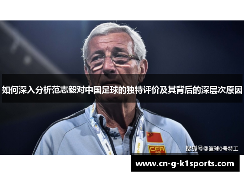 如何深入分析范志毅对中国足球的独特评价及其背后的深层次原因