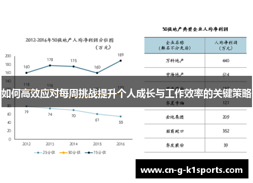 如何高效应对每周挑战提升个人成长与工作效率的关键策略