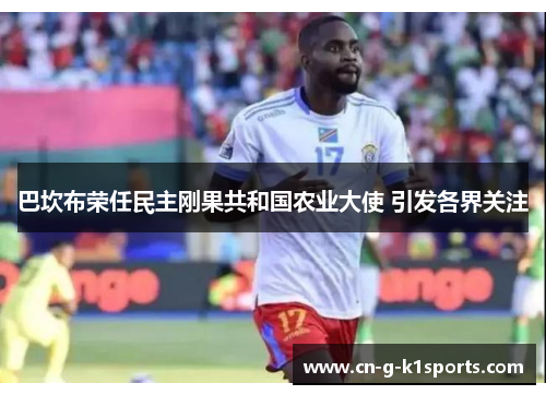 巴坎布荣任民主刚果共和国农业大使 引发各界关注