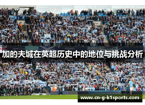 加的夫城在英超历史中的地位与挑战分析