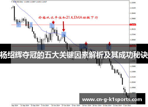 杨绍辉夺冠的五大关键因素解析及其成功秘诀 杨绍辉夺冠的五大关键因素解析及其成功秘诀